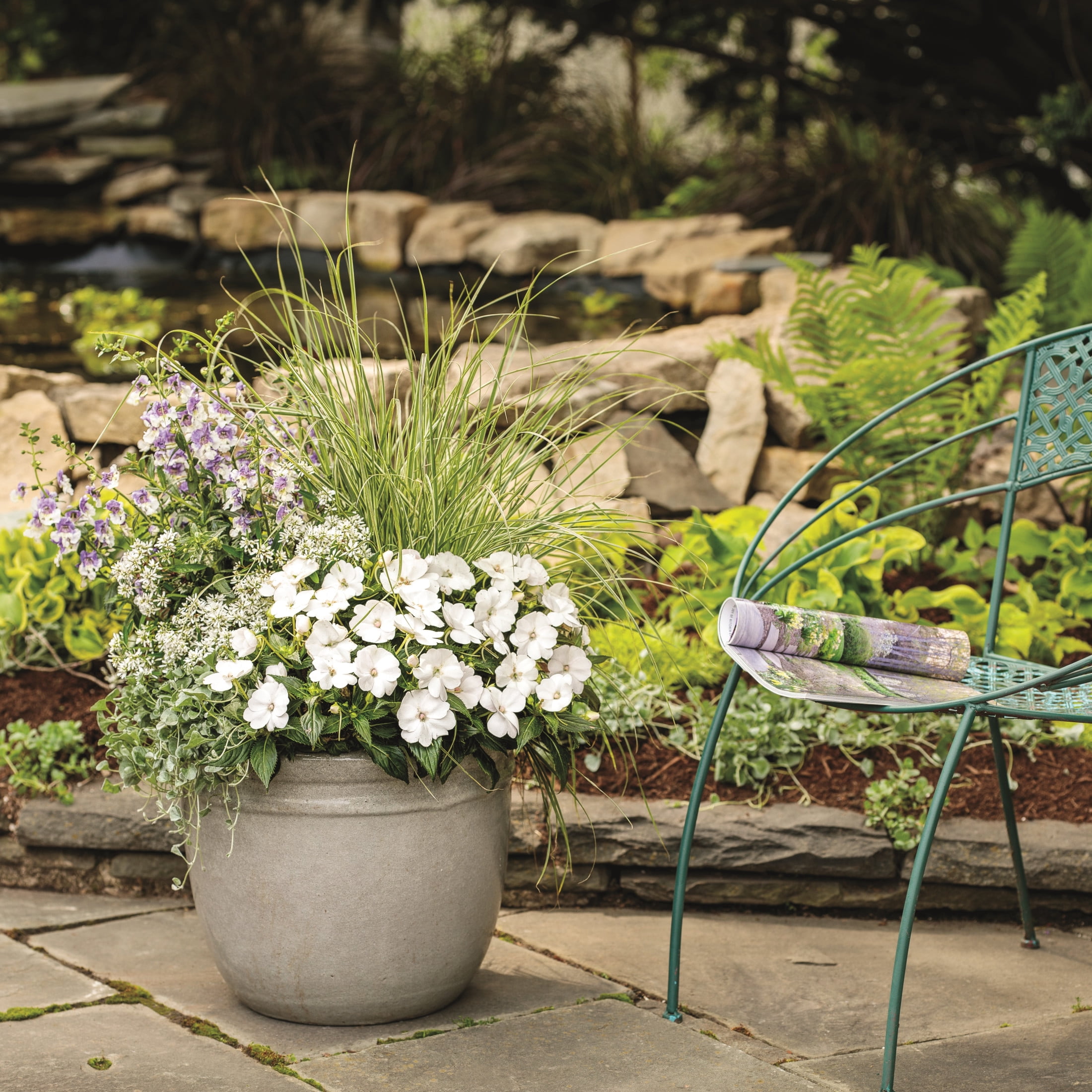 Proven Winners 4" SunPatiens Compact Classic White Impatiens Live Plant in 4.25" Pot (4 Count)