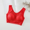 thumbnail image 7 of 2 Pieces Lace Bra Plus Size Bra Women Underwear Bralette Crop Top Sexy Female Bra Large Top Female Push Up Brassiere Laced Bra, 7 of 7