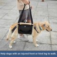thumbnail image 4 of El perro lleva la honda, la mochila de la emergencia las piernas del animal doméstico apoyan y el perro de la rehabilitación (negro) levanta el arnés para N, 4 of 5
