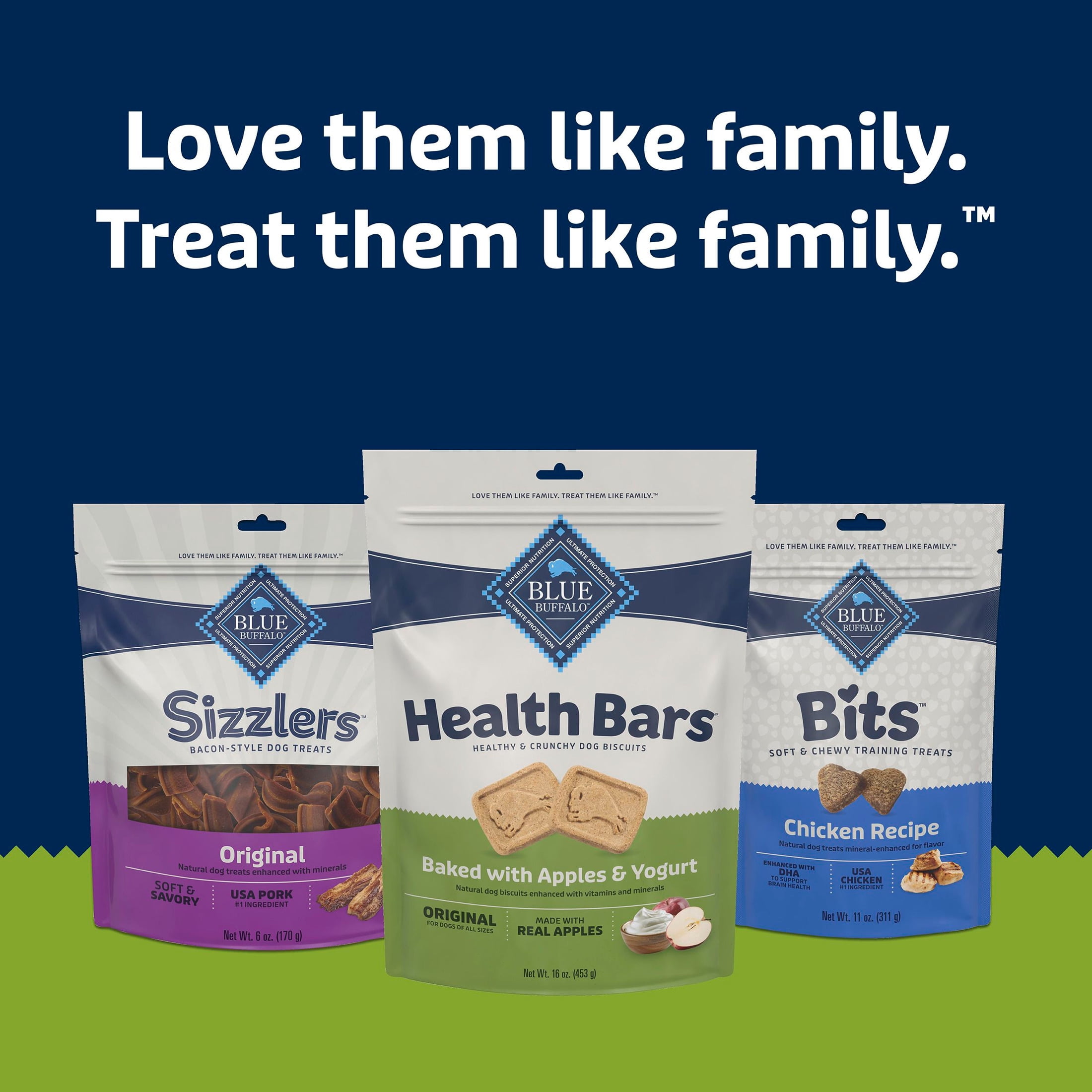 Blue Buffalo Health Bars Crunchy Dog Biscuits, Apples & Yogurt, 16-oz. Bag