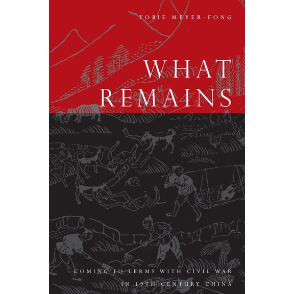 What Remains: Coming to Terms with Civil War in 19th Century China, (Paperback)