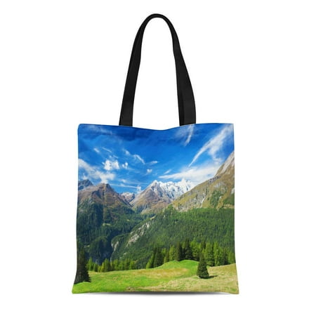 SIDONKU Canvas Tote Bag Blue Mountain Beautiful View of the Austrian Alps Austria Durable Reusable Shopping Shoulder Grocery