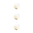thumbnail image 1 of Cateissary Glass Display Cloche Bell Jar Dome Base Cover Preservation Flower Wooden Type4 NO4, 1 of 1