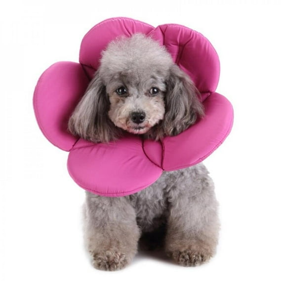 Pet Flower Elizabethan Recovery Collar for Dog Cat Soft Cone Anti-bite E-Collar