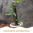 thumbnail image 3 of FOLOYORI 2Ud Marco Metálico Reforzado Para Plantas Trepadoras Ideal Para Uso En Casa Y Jardín, 3 of 8