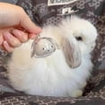 thumbnail image 5 of AYktou Pet Hair Collector Keychains, 2.4×2.8 Inch Clear Bottle Rabbit Hair Collector Cute Keyring Bag Charms Car Hanging Puppy Bunny Cat Hair Collector Collecting Hair Keepsake Portable Pendants, 5 of 8