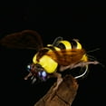 thumbnail image 2 of 2pcs Trout Flies Lures Imitation Insects Baits Fly Lures for altwater Freshwater, 2 of 10