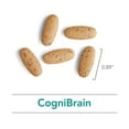 thumbnail image 4 of Nutricology Cognibrain Supplement - Memory and Focus Support for Brain Function Health with Lion's Mane, Vegetarian Capsules - 90 Count, 4 of 6