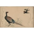 thumbnail image 3 of Unknown 18x13 Black Modern Framed Museum Art Print Titled - Pheasant, 3 of 5