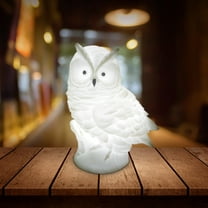 3D Owl Table Lamp, Battery Powered Cordless Night Light Portable Desk Bedside Lamp for Bedroom Dining Room Office Dorm Garden
