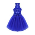 thumbnail image 4 of Aislor Kids Girls Sequined Camisole Ballet Tutu Dress Ballerina Leotard Outfit Dance Wear Costumes, 4 of 7