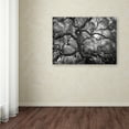 thumbnail image 3 of Motivations by CATeyes-22x32 Canvas Art Ready to Hang, 3 of 4