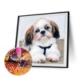 thumbnail image 1 of Cuadros Decorativos 5D DIY Diamond Painting Kits completo redondo taladro cachorro mosaico imagen pared decoración Tmvgtek embutido en tela, 1 of 9