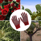 thumbnail image 4 of pares de guantes de trabajo multiusos con pequeños guantes de protección laboral con bloqueo de color para plantar jardines de palmeras Ormromra CPB-US-DYP745-1, 4 of 5