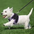 thumbnail image 2 of SXcggal 1 PCS Dog Harness For Small Medium Large Dogs No Pull Puppy Harness And Leash Set Dog Harness For Walking Running Training Small Dog Harness Medium Dog Harness Cute Practical Pet Accessories, 2 of 9