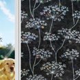 Black White Umbellifer Window Privacy Film Retro Rustic Flora Stems ...