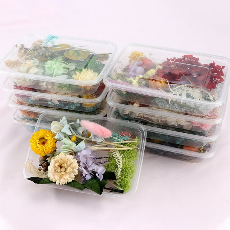 Mixed Real Dried Flowers Dry Plant for DIY Epoxy Resin Jewelry Making  Crafts