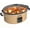 Brown, variant on Slow Cooker, 10 Quart Digital Programmable Slow Cookers with Timer, Dishwasher Safe Glass Lid & Crock, Kitchen Appliance for Families and Gatherings, Stainless Steel