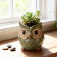 thumbnail image 4 of Decorative Owl Ceramic Figurine, Whimsical Desktop Pot for Small Plants Flowers or Succulent Arrangement, Compact Home Office Living Room Decor, Thoughtful Gift for Family Friends Colleagues, 4 of 7