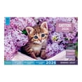 thumbnail image 1 of Gatitos 2026 Zamul Sa De Cv 0001, 1 of 2