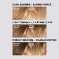thumbnail image 3 of Kit de decoloración para el cabello L'Oreal Paris Colorista Kit, 3 of 8