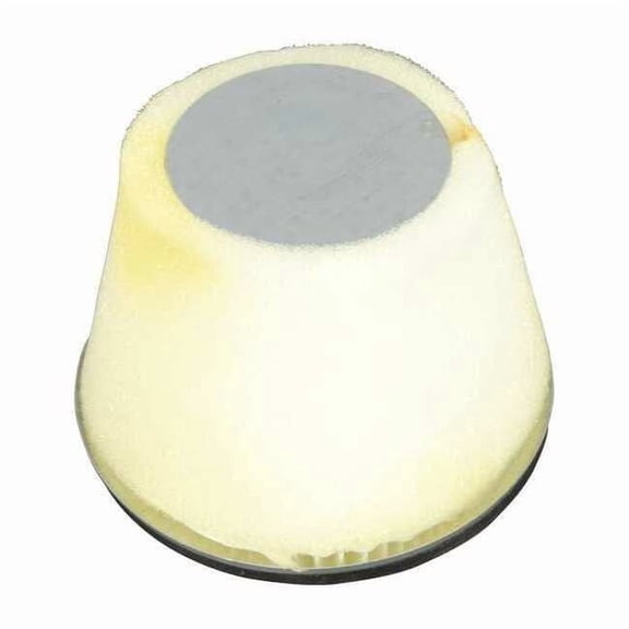 Westward Vacuum Sponge and Paper Filter TT10Z916VSG