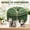 Green Color, variant on Green Sisal Rope 1/4 Inch by 65 Feet – Durable Cat Scratching Post Replacement, DIY Hemp Twine for Cat Trees, Climbing Shelves, Scratch Mats, Window Perches, 6mm by 20m