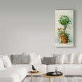 thumbnail image 3 of Trademark Fine Art ' Spring Nesting 2' Canvas Art by Barbara Mock, 3 of 3