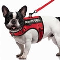 thumbnail image 1 of Chaleco FAYOGOO Air Mesh para perros pequeños con parches, 1 of 7