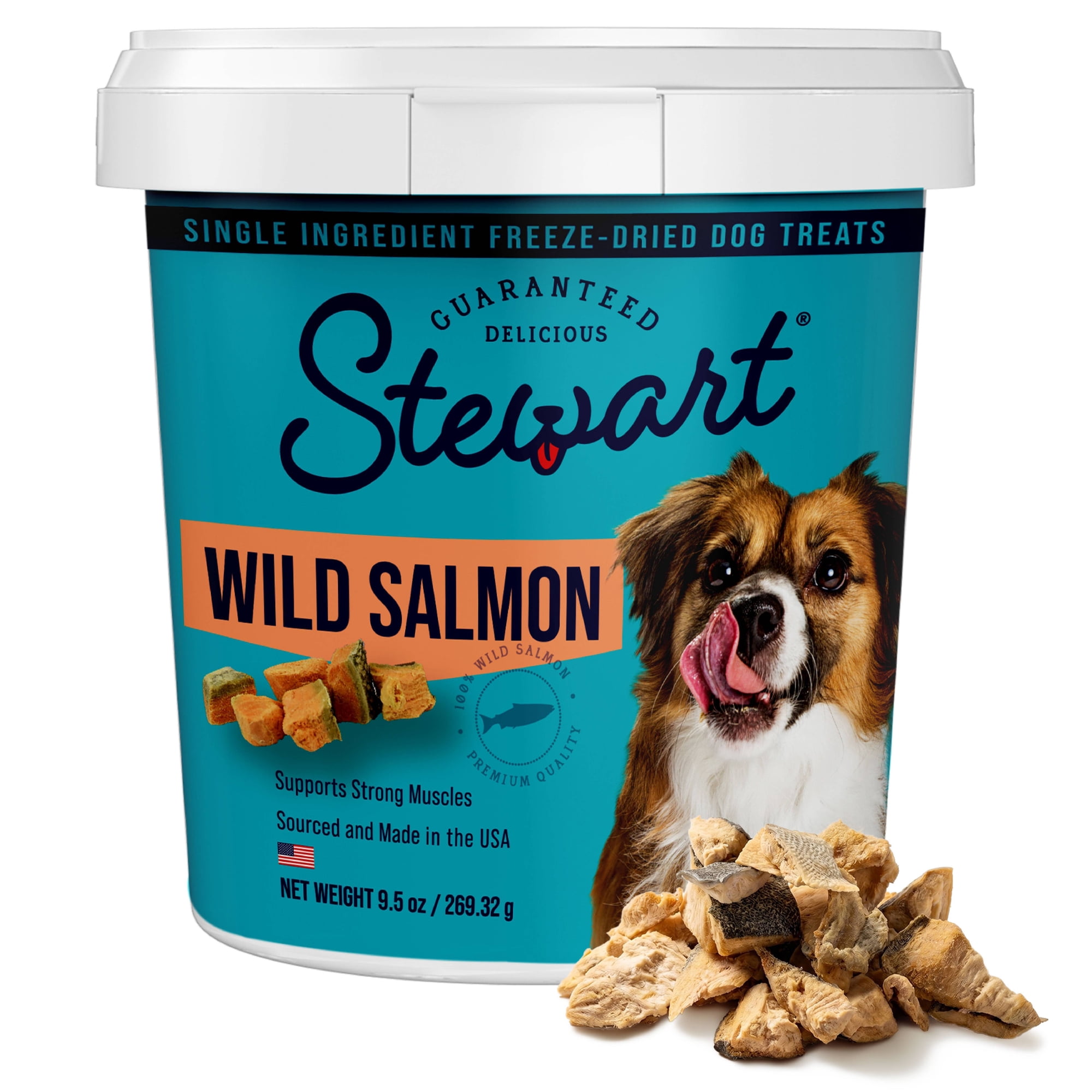 Stewart Freeze Dried Raw Salmon Training Treats or Meal Topper for Dogs, 9.5 oz Tub
