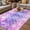 Multicolor, variant on Purple Ombre Outdoor Rug for Patio/Deck/Porch, Non-Slip Large Area Rug 5 x 7 Ft, Colourful Gradual Modern Abstract Art Indoor Outdoor Rugs Washable Area Rugs, Reversible Camping Rug Carpet Runner