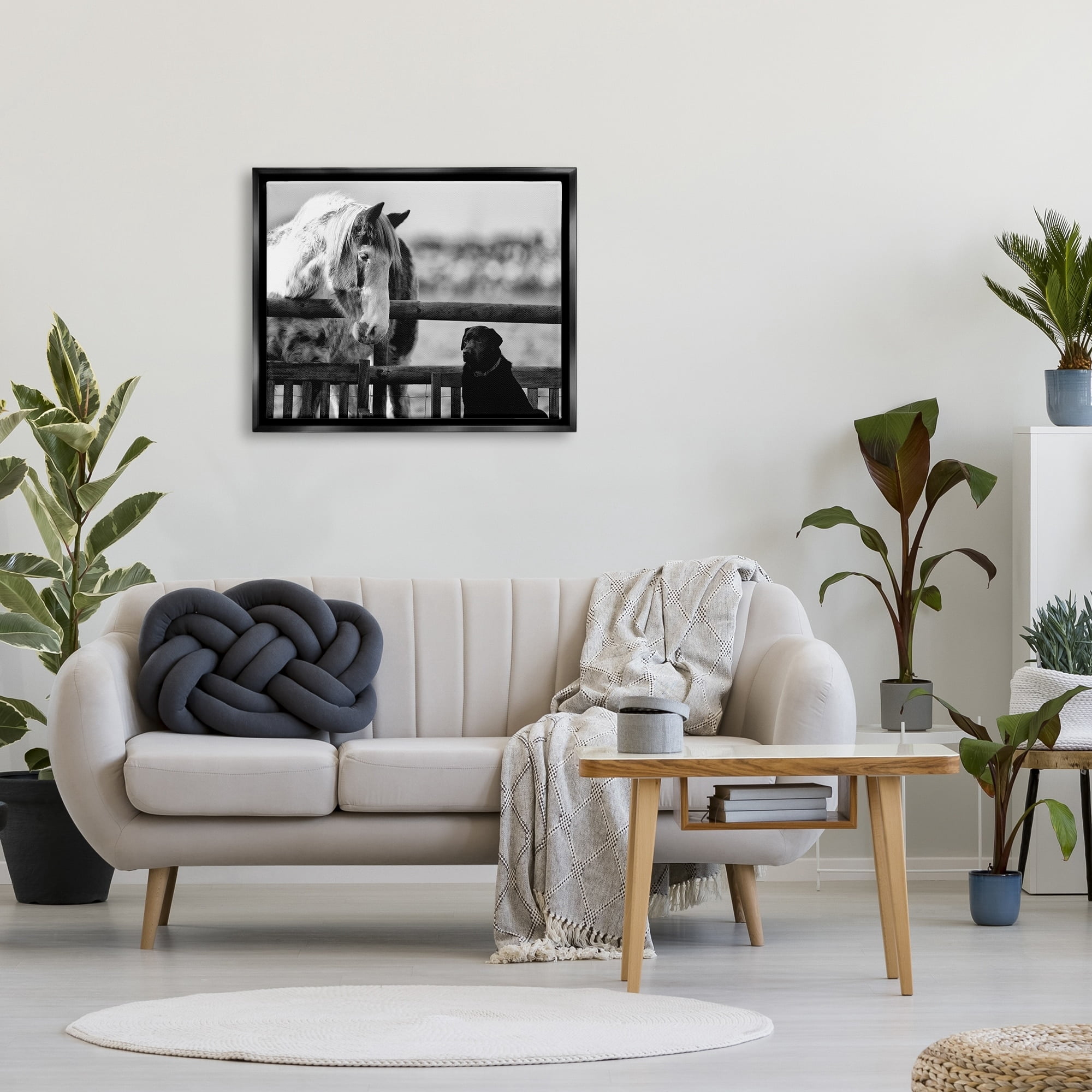 Stupell Industries Dog & Horse Farm Animal Friends Monochrome Photography Photograph Jet Black Floating Framed Canvas Print Wall Art, Design by James Dobson