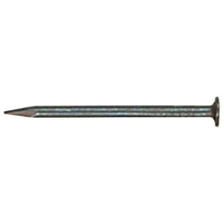 12 in. Hot Galvanized Common Nail, 5 lbs