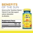 Nature's Life Vitamin D2 2000IU High Potency Ergocalciferol