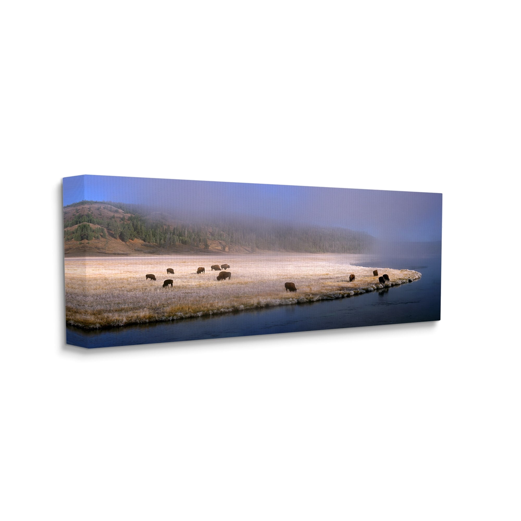 Stupell Industries Bison Animals Grazing Rural River Nature Photography Photograph Gallery Wrapped Canvas Print Wall Art, Design by Jim Becia