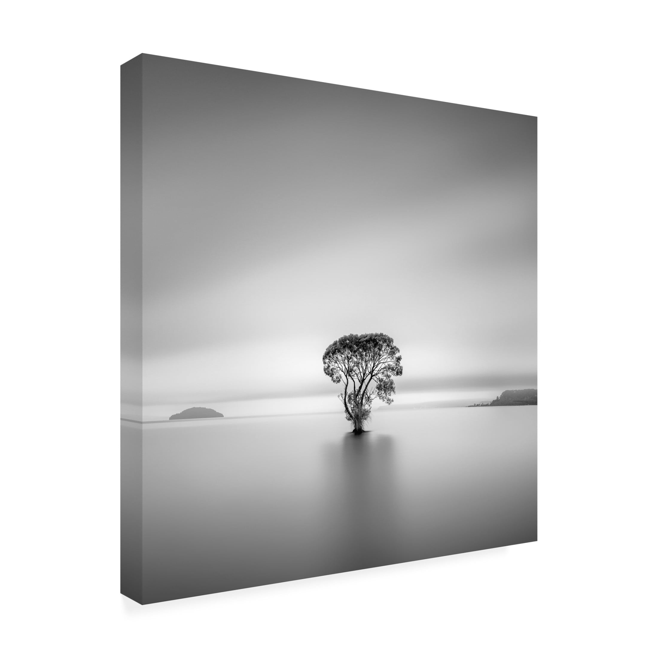 Canvas Wall Art - Jana Luo 'Untitled' Wall Art for Living Room, Bedroom, or Office Décor by Trademark Fine Art - 35 x 35 Inches