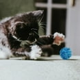 thumbnail image 2 of Glitter Tinsel Cat Toy Ball Elastic Interactive Cat Play Ball Shiny Colorful Kitten Teaser Toy For Indoor Cat Daily Play, 2 of 8