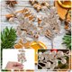thumbnail image 5 of 12 tallos de bayas navideñas con purpurina, palitos navideños falsos, palitos de purpurina, recuerdos para fiestas navideñas., 5 of 7