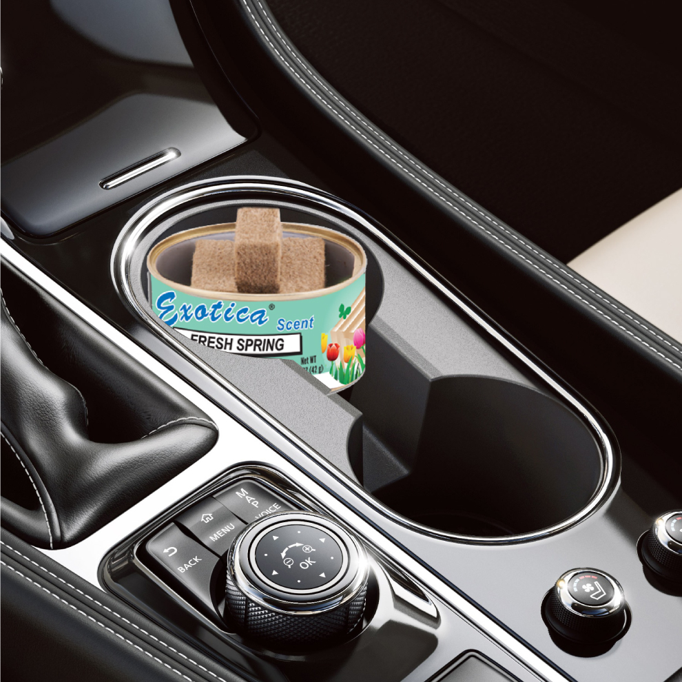 Exotica Car Air Freshener | Spill-proof Can | Organic | For Home & Auto | Long Lasting Freshness | (Pack of 12) (Fresh Spring)