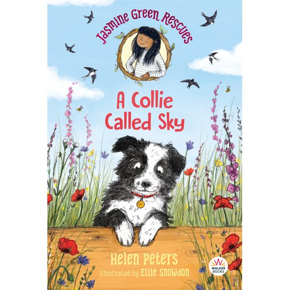 Pre-Owned Jasmine Green Rescues: A Collie Called Sky (Paperback) 1536215716 9781536215717