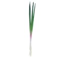 thumbnail image 1 of Simulated Scallion Model Lifelike Fake Scallions Veggie Model Fake Vegetable Prop, 1 of 4