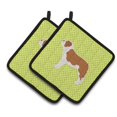 thumbnail image 1 of Carolines Treasures BB3876PTHD Saint Bernard Porte-Pot à Damier Vert, 1 of 1