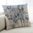 thumbnail image 1 of Ahgly Company Animals Zebra Indoor Throw Pillow, 18 inch by 18 inch, 1 of 6