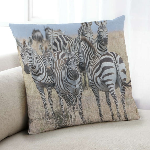 Ahgly Company Animals Zebra Indoor Throw Pillow, 18 inch by 18 inch