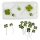 thumbnail image 3 of Paquete de 4-20 Adornos de Hojas Prensadas Reales Sunnimix para Hacer Tarjetas y Álbumes de Recortes 150x100mm, 3 of 8