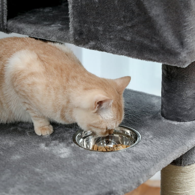 A new and innovative cat interactive feeder