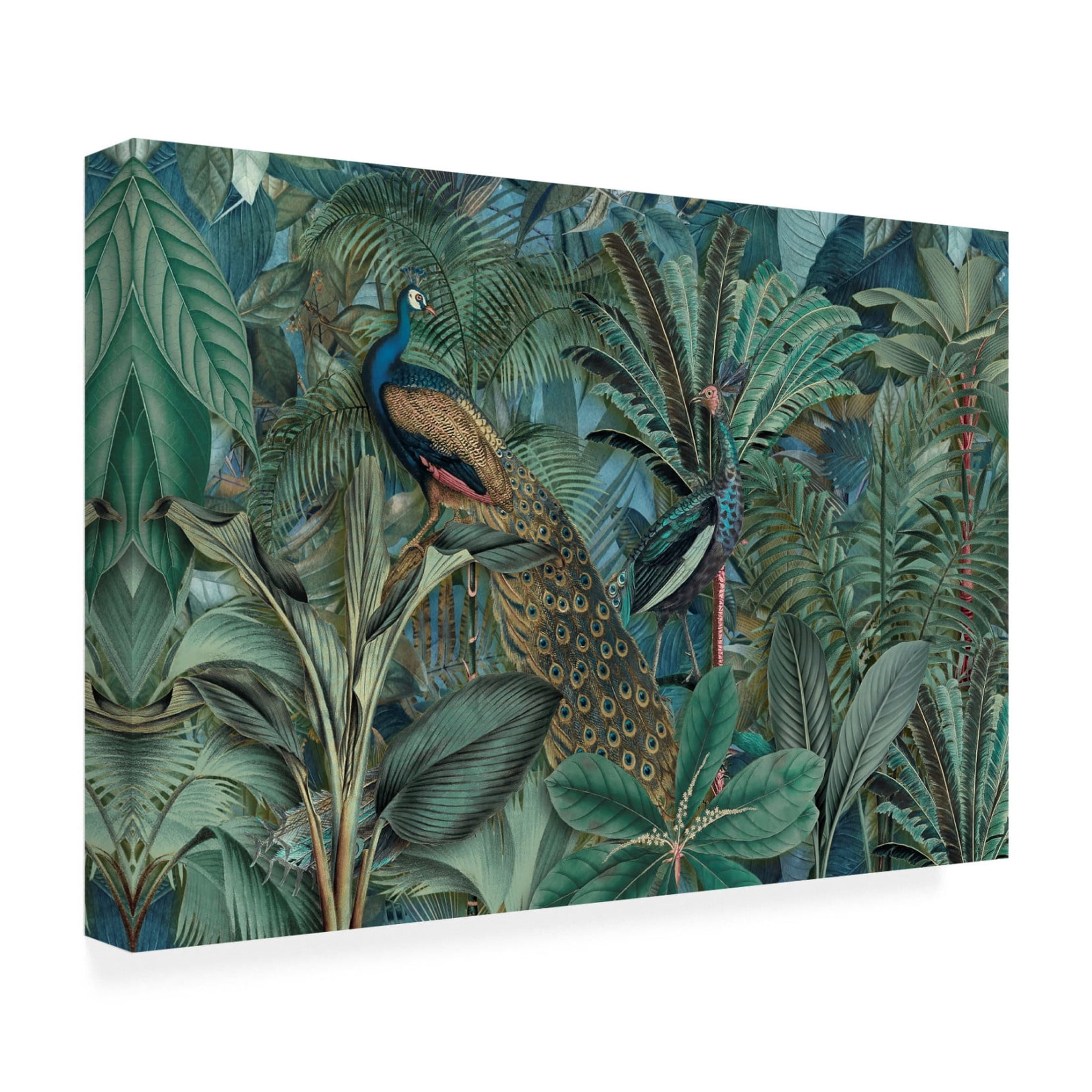 Trademark Fine Art Andrea Haase Jungle Birds Garden No2 Canvas Wall Art