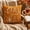 B, variant on Orangide Fall Pillow Covers 18x18 Inch Pumpkin Maple Leaf Throw Pillowcase, Thanksgiving Decor for Rural Couch Sofa Bed Indoor Outdoor