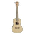 thumbnail image 3 of Aloha AIL 219ZS Concert Ukulele with Gig Bag - Exotic Zebra Wood and Spruce Ukulele AIL 219ZS, 3 of 4