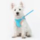 thumbnail image 5 of Oferta por tiempo limitado!Correa para gato, estilo chaleco, perro pequeño que camina con correa para gato, correa exterior para el pecho para evitar resbalones, 5 of 6